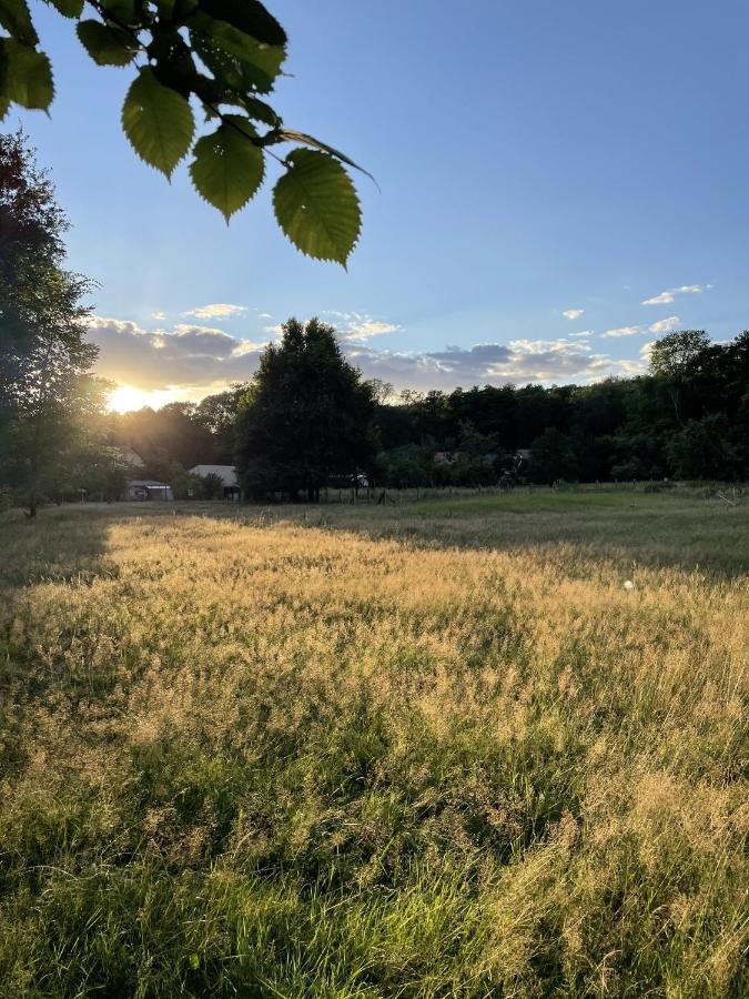 Ferienwohnung Spreewaldhaus am Landgut - Pretschen Markische Heide Exterior foto